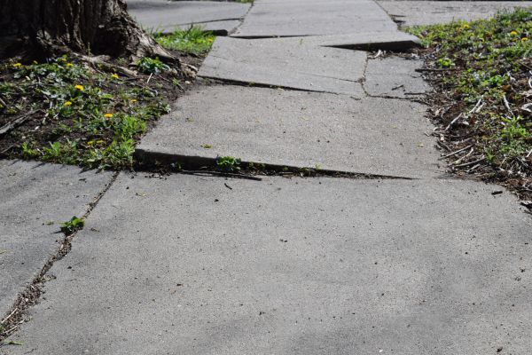Cost of Concrete Sidewalk Leveling in Winter Haven