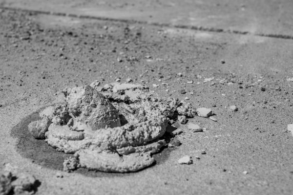 Cost of Driveway Slab Raising in Winter Haven