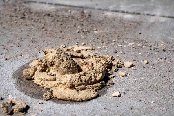 Cost of Driveway Slab Leveling in Winter Haven